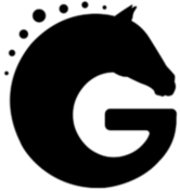 Conception de site internet vitrine pour Gwénolé Le Guen, cavalier professionnel