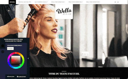 Outil pour personnaliser les couleurs du theme Wello et creer un site web vitrine