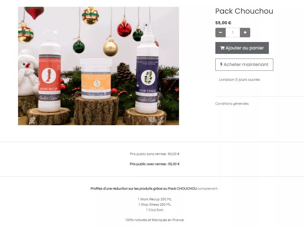 Noël E-commerce : Promotions internet spéciales Noël avec des packs Alodis Care