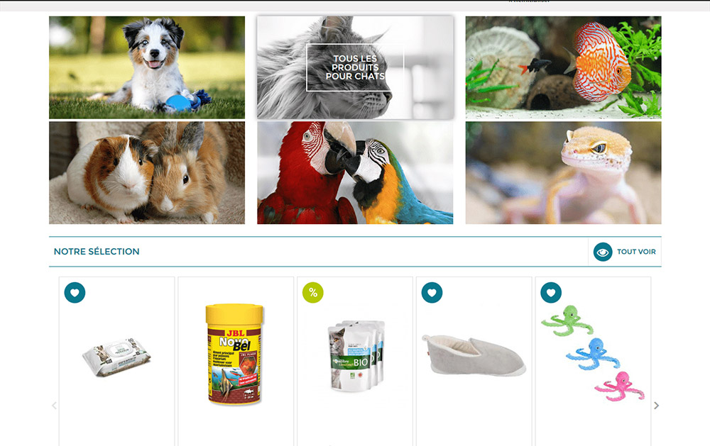 Point Dog - Diaporamas secondaires avec de belles et grandes photos pour présenter les activités et produits de votre site vente en ligne - Thème graphique Hermer